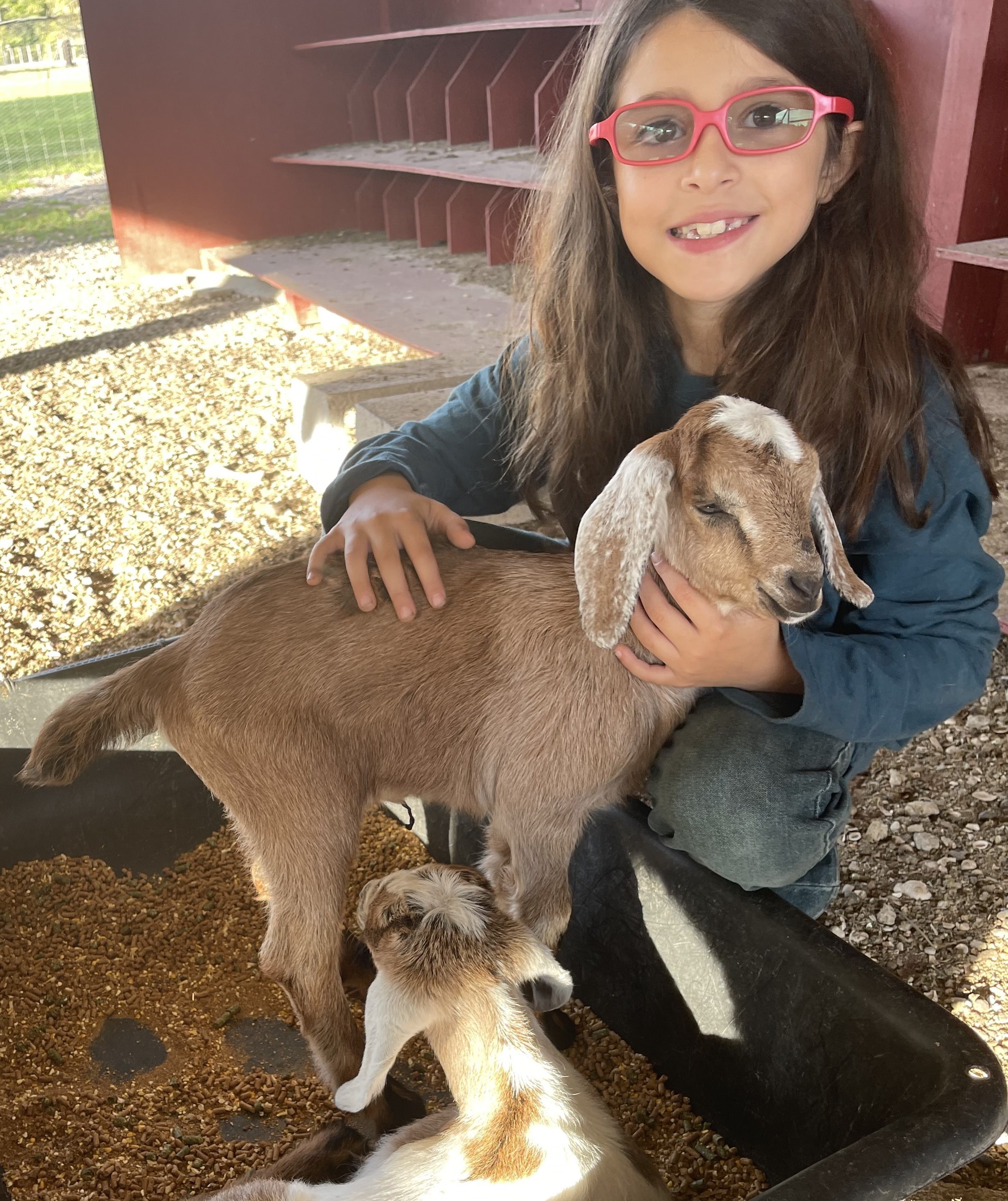 Acton Academy Alva student leading a horse